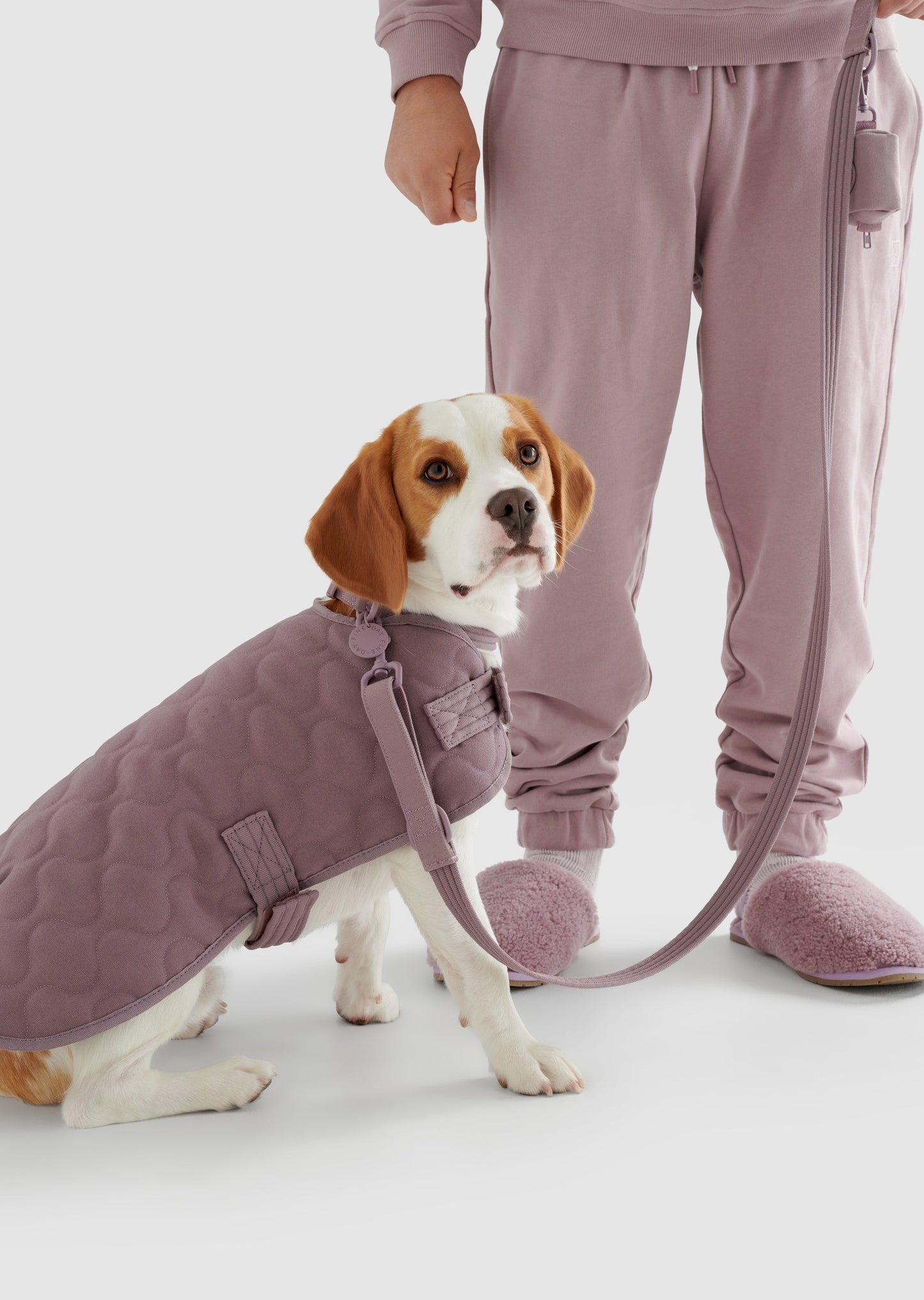 Park - Large Recycled Material Pet Coat