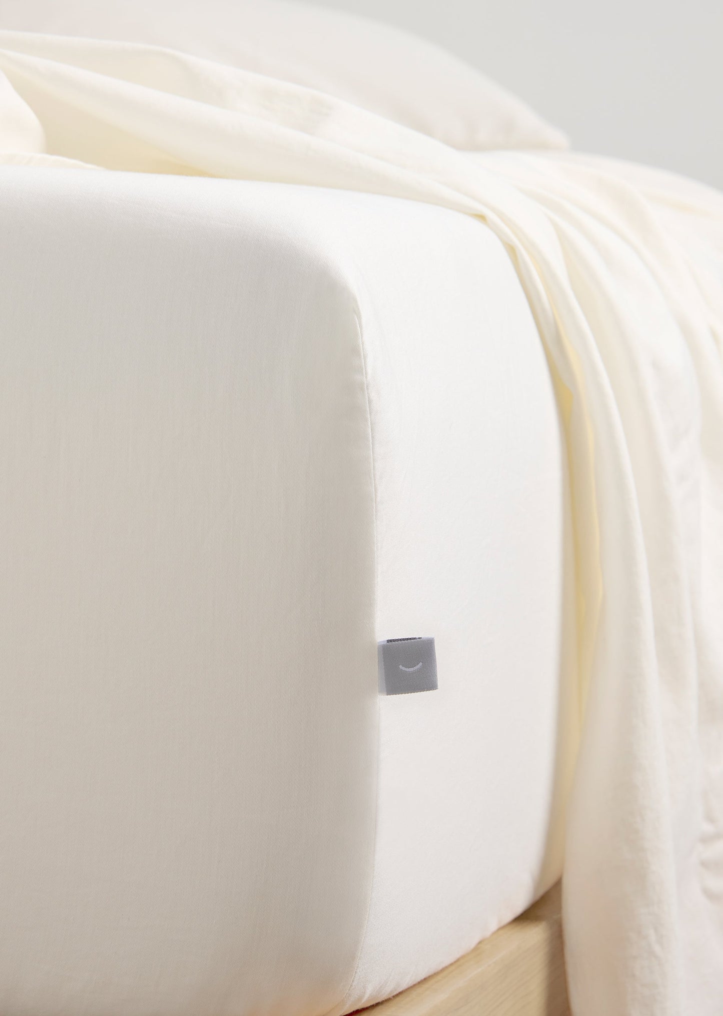 Wonder - Single Fitted Sheet