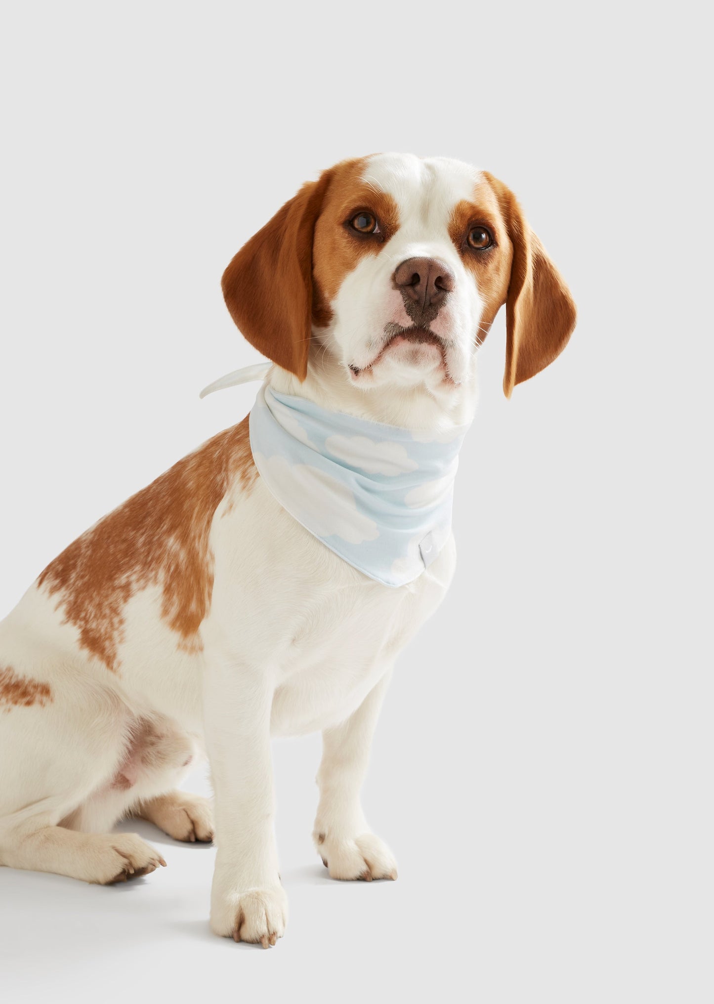 Dream - Large Organic Cotton Jersey Bandana