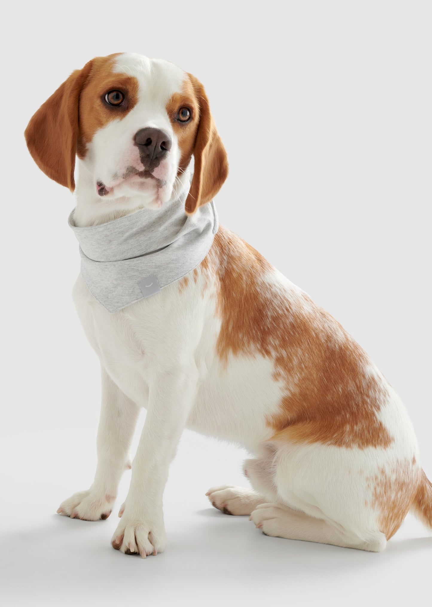 Dream - Large Organic Cotton Jersey Bandana
