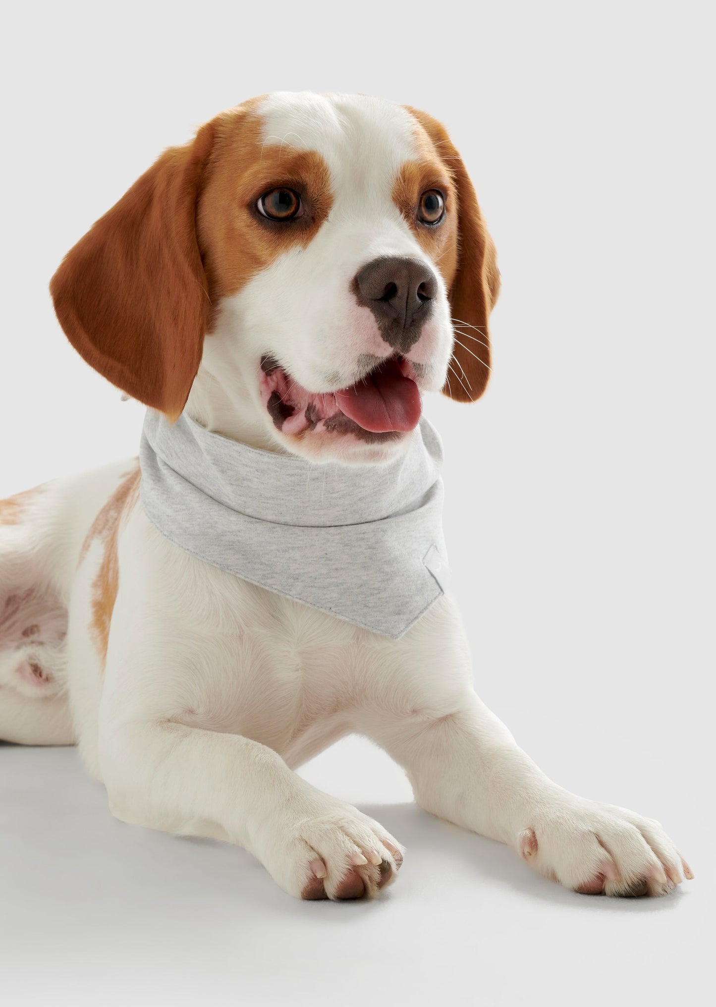 Dream - Large Organic Cotton Jersey Bandana
