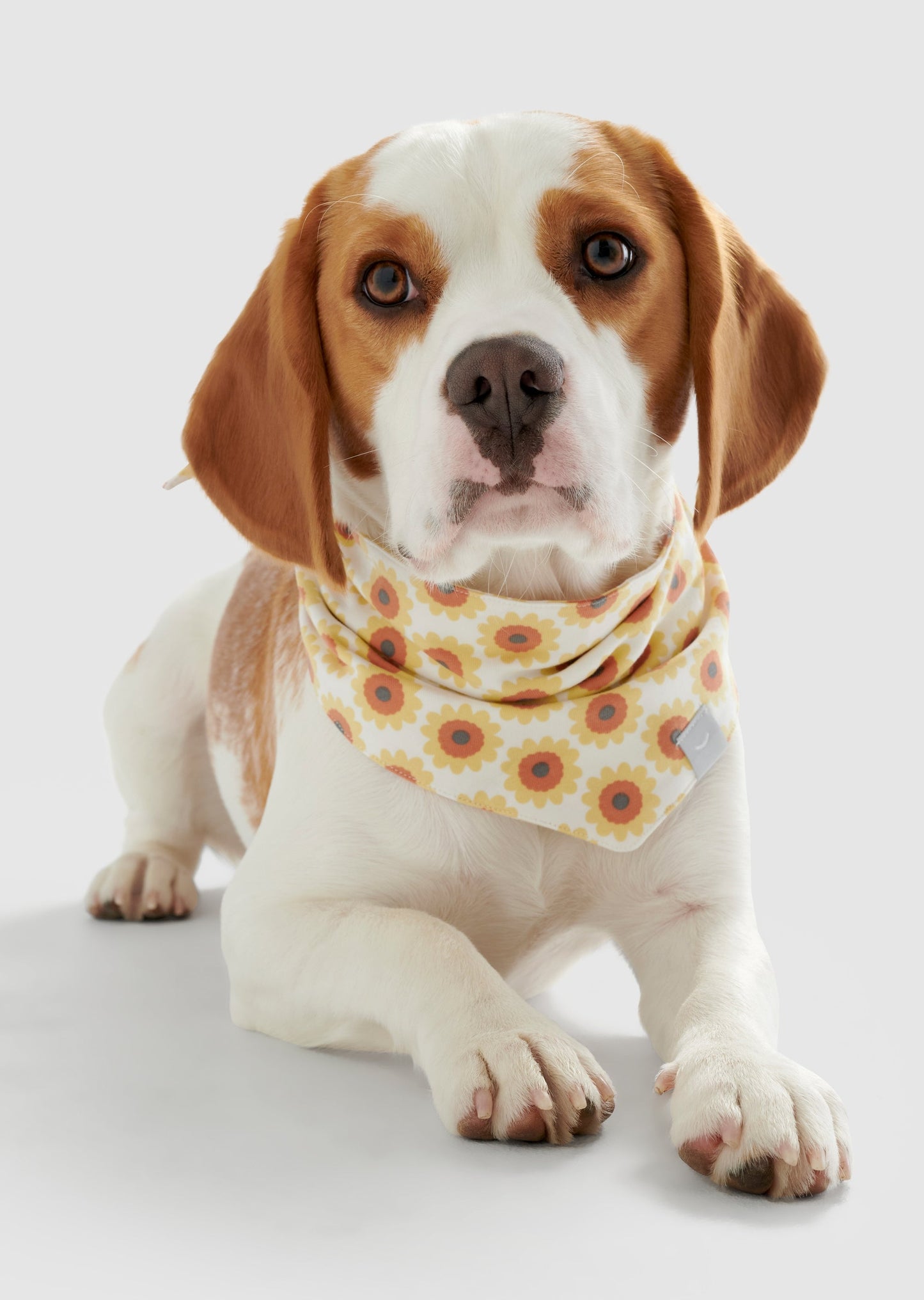 Dream - Medium Organic Cotton Jersey Bandana