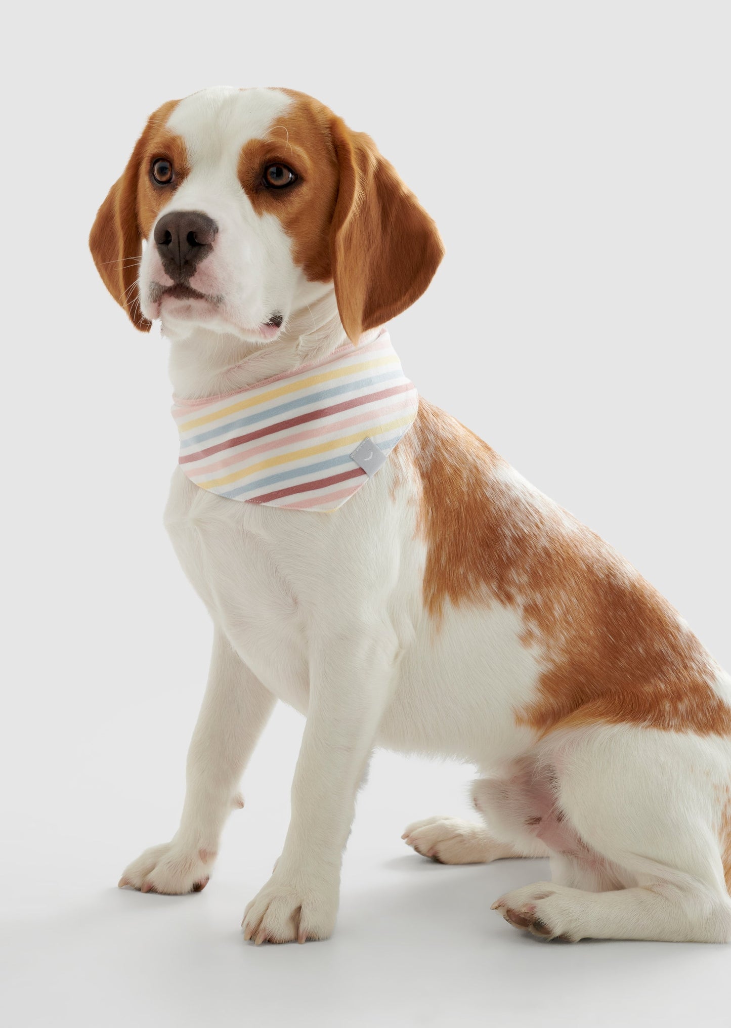 Dream - Medium Organic Cotton Jersey Bandana