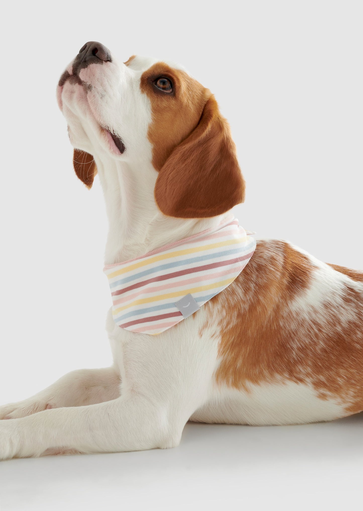 Dream - Medium Organic Cotton Jersey Bandana