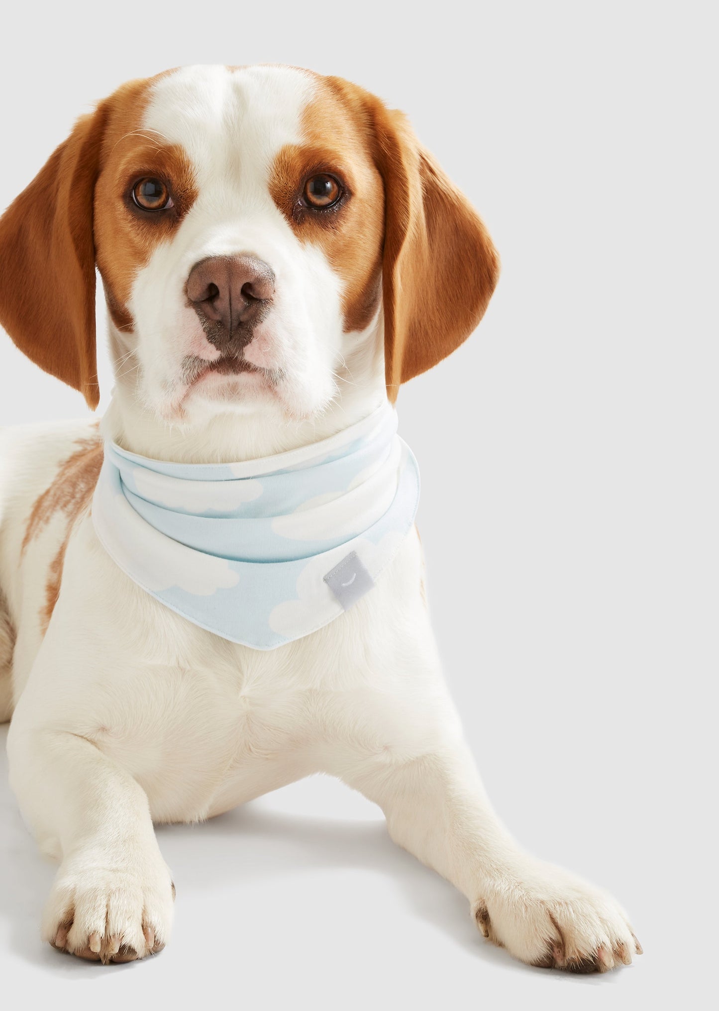 Dream - Small Organic Cotton Jersey Bandana