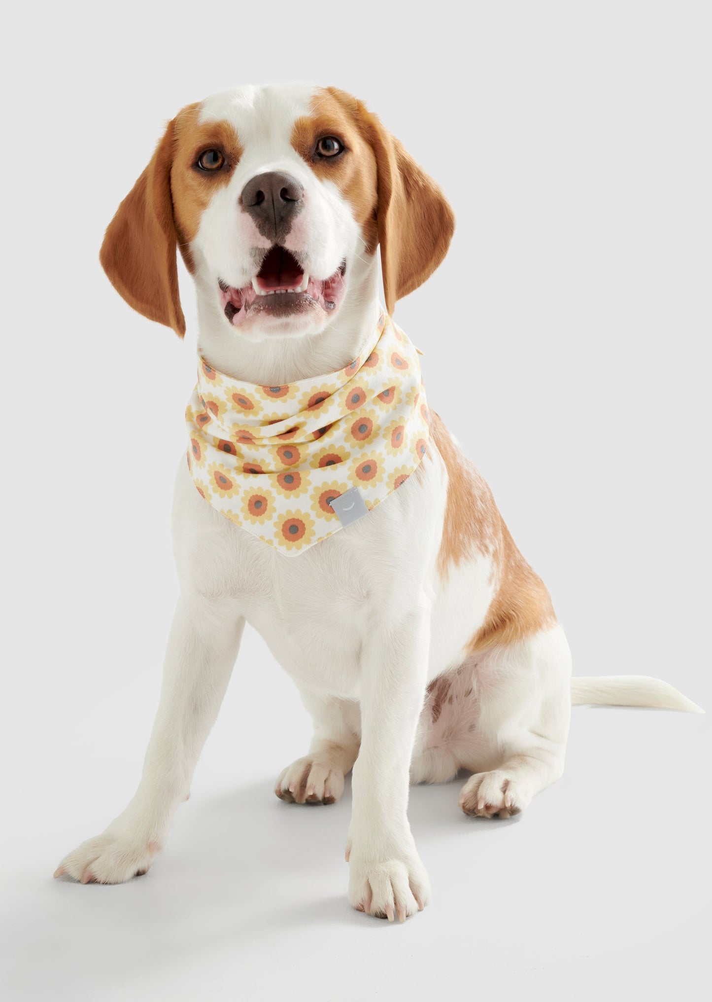 Dream - Small Organic Cotton Jersey Bandana