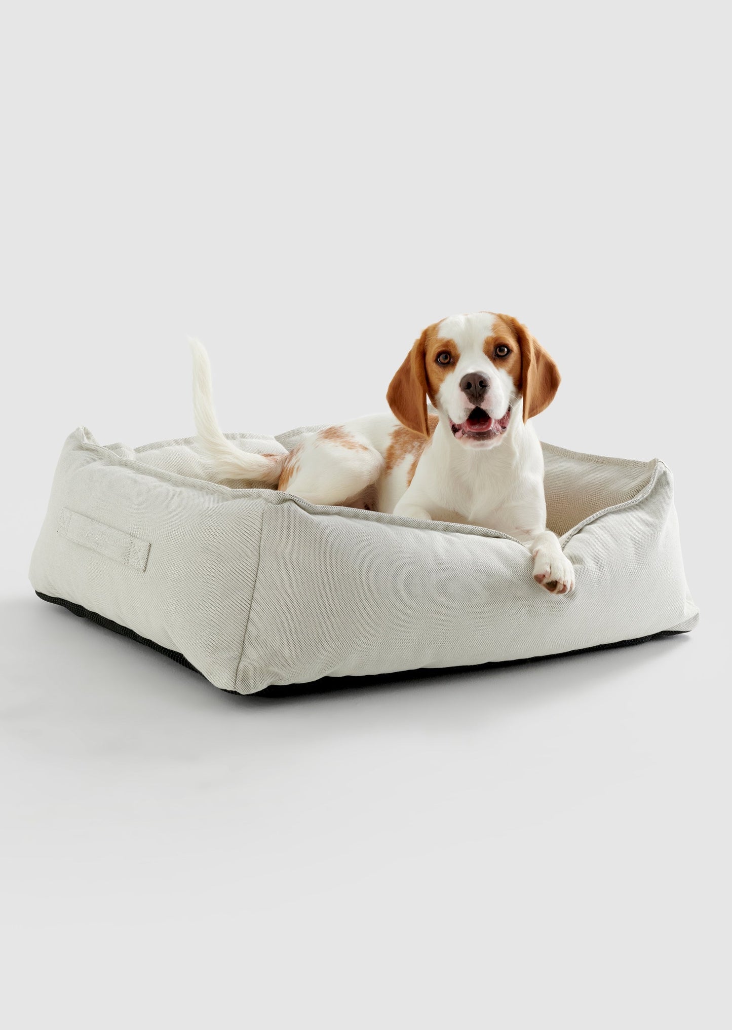 Small Pet Bed