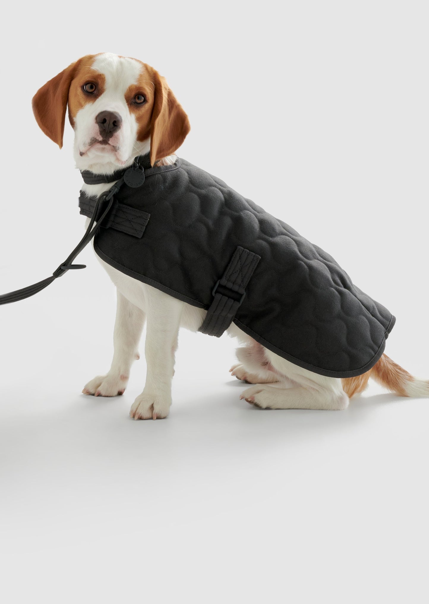 Park - Large Recycled Material Pet Coat