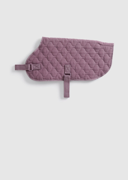 Park - Large Recycled Material Pet Coat