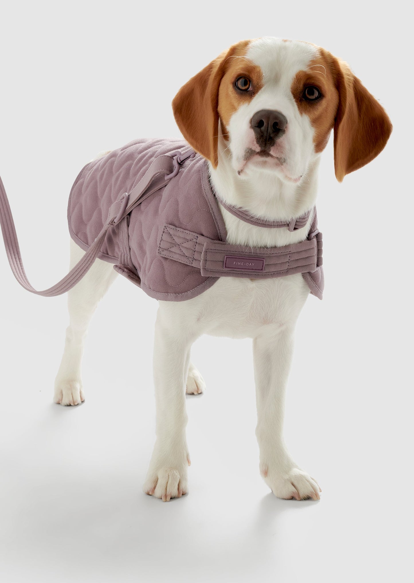 Park - Large Recycled Material Pet Coat