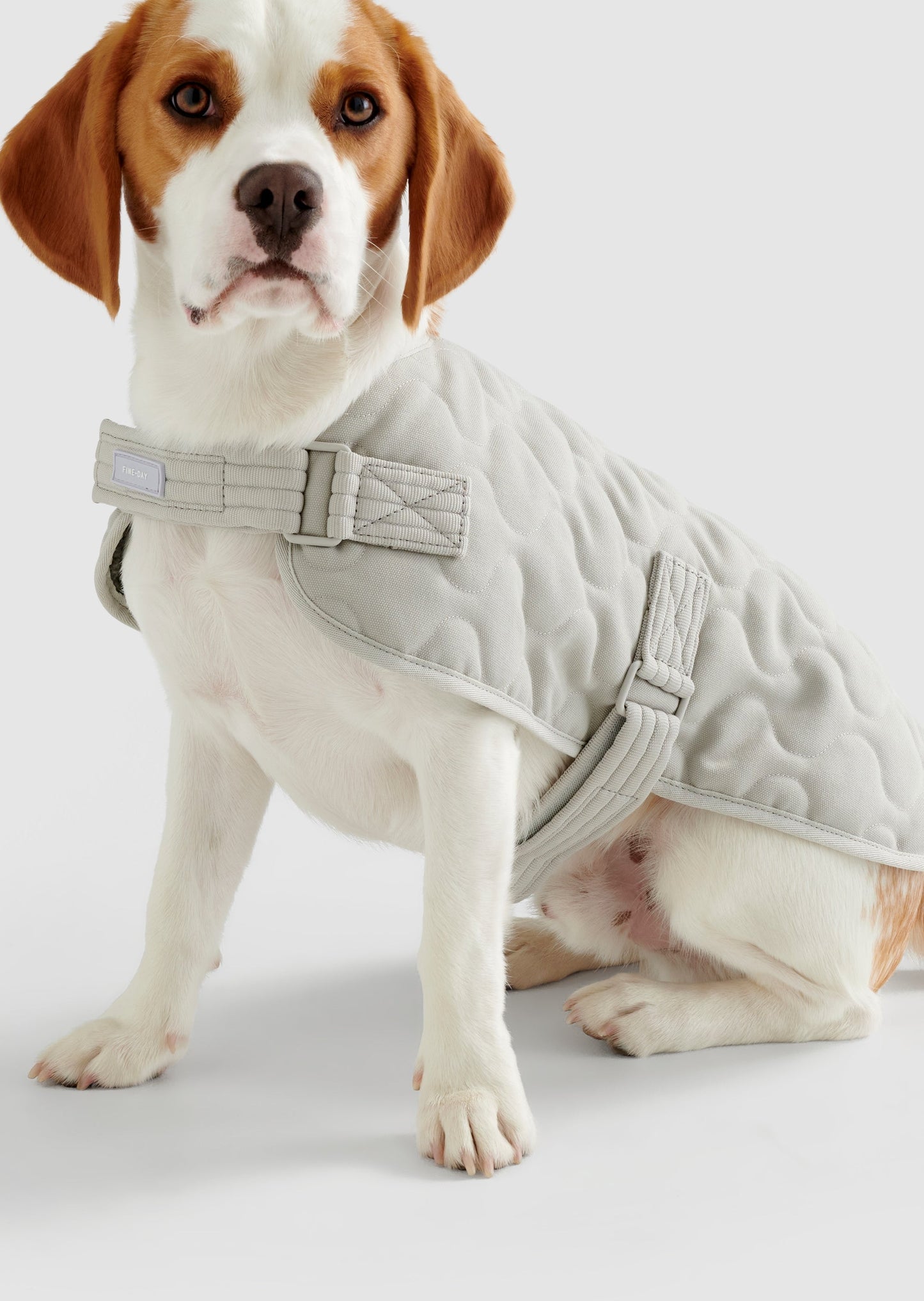 Park - Large Recycled Material Pet Coat