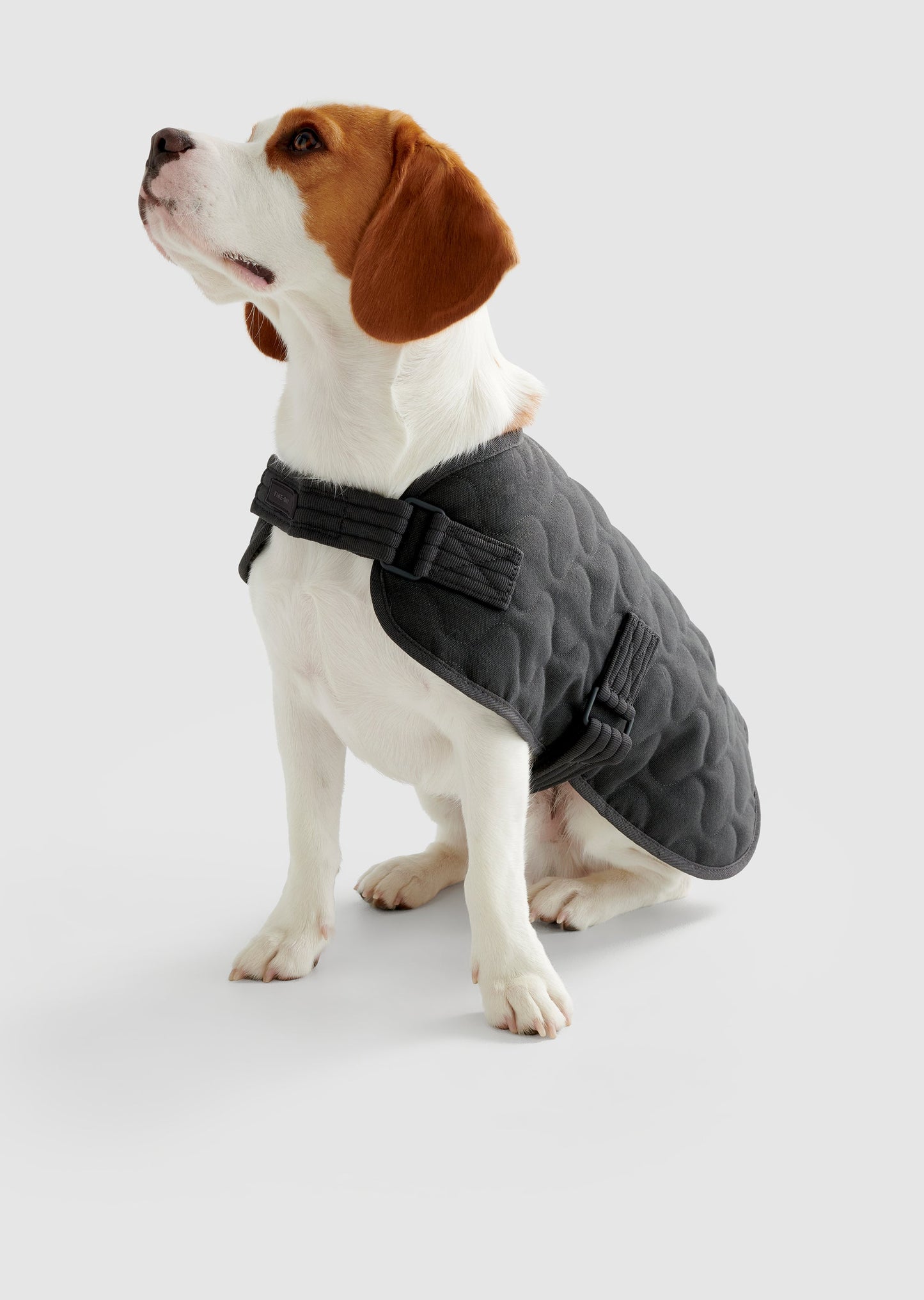 Park - Medium Recycled Material Pet Coat