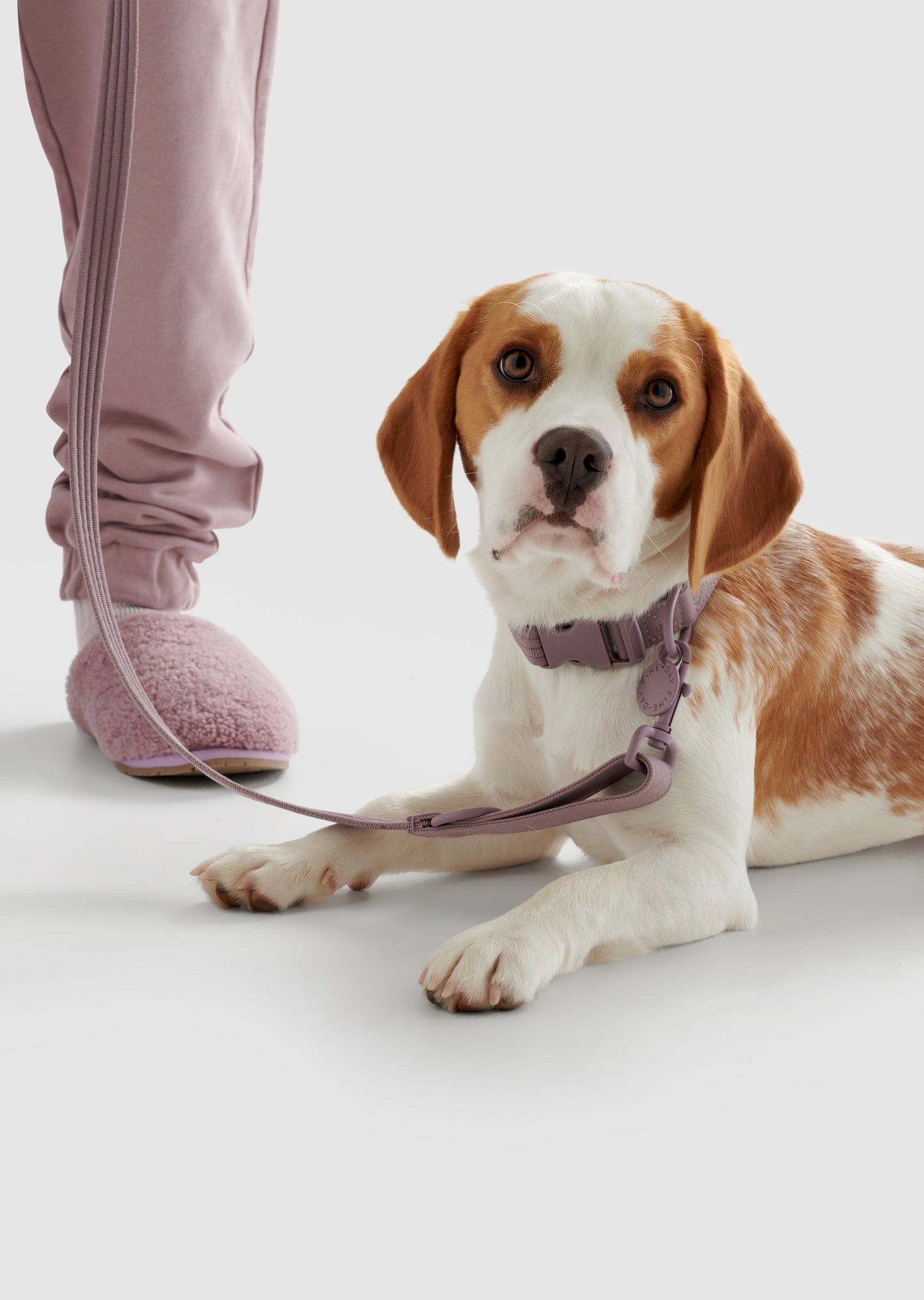 Park - Large Recycled Material Collar