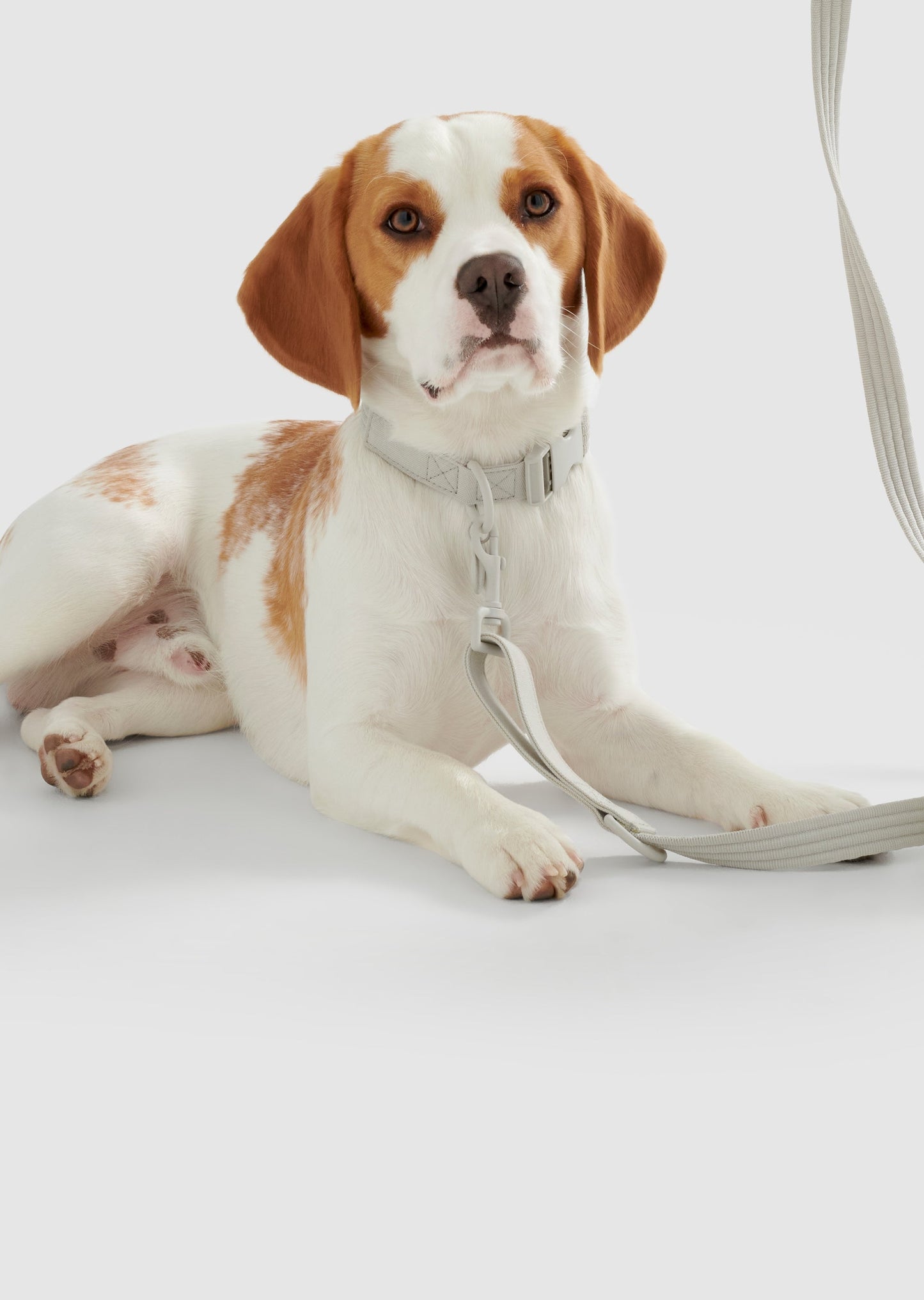 Park - Large Recycled Material Collar