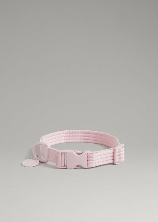Park - Medium Recycled Material collar