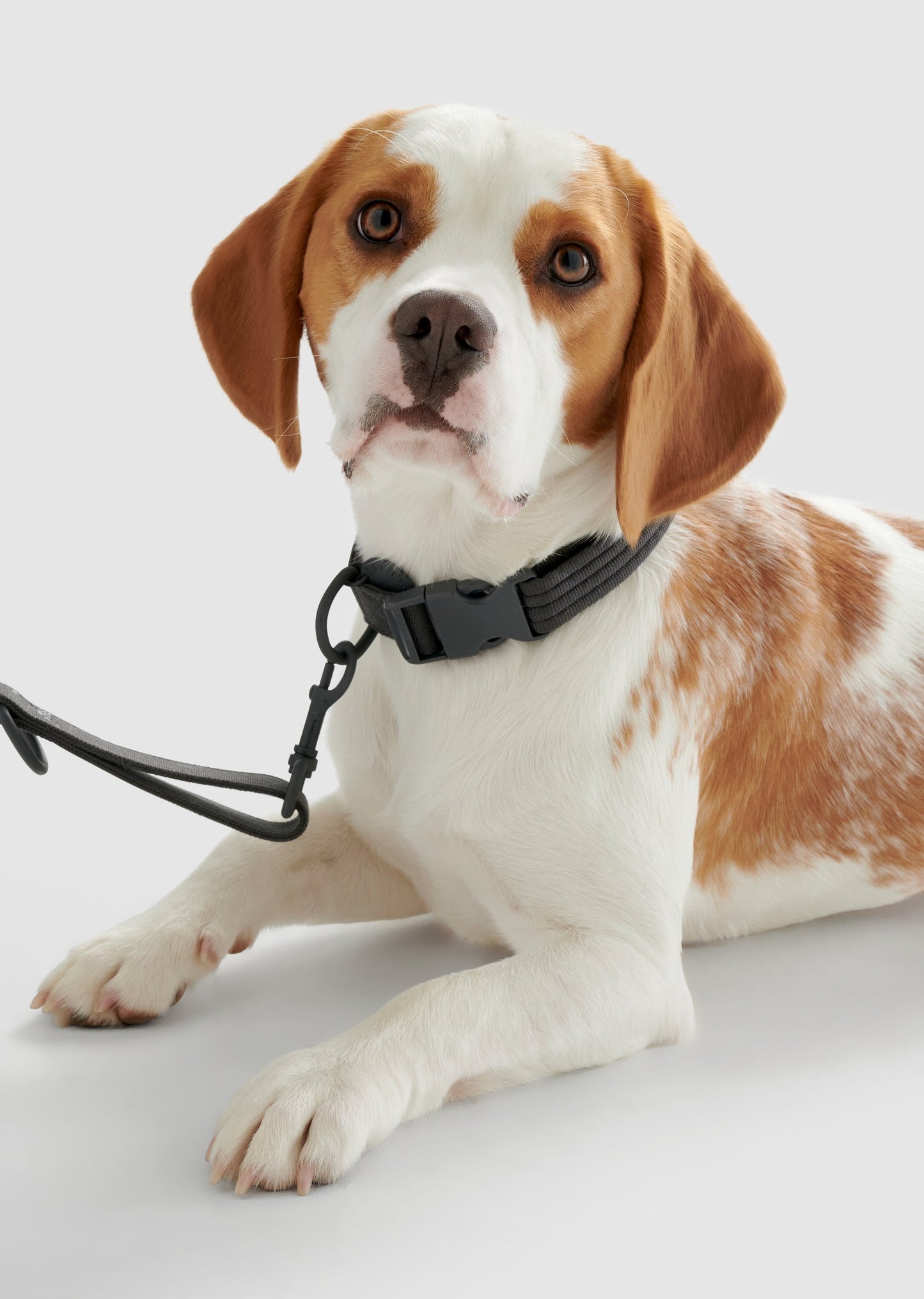 Park - Medium Recycled Material Collar