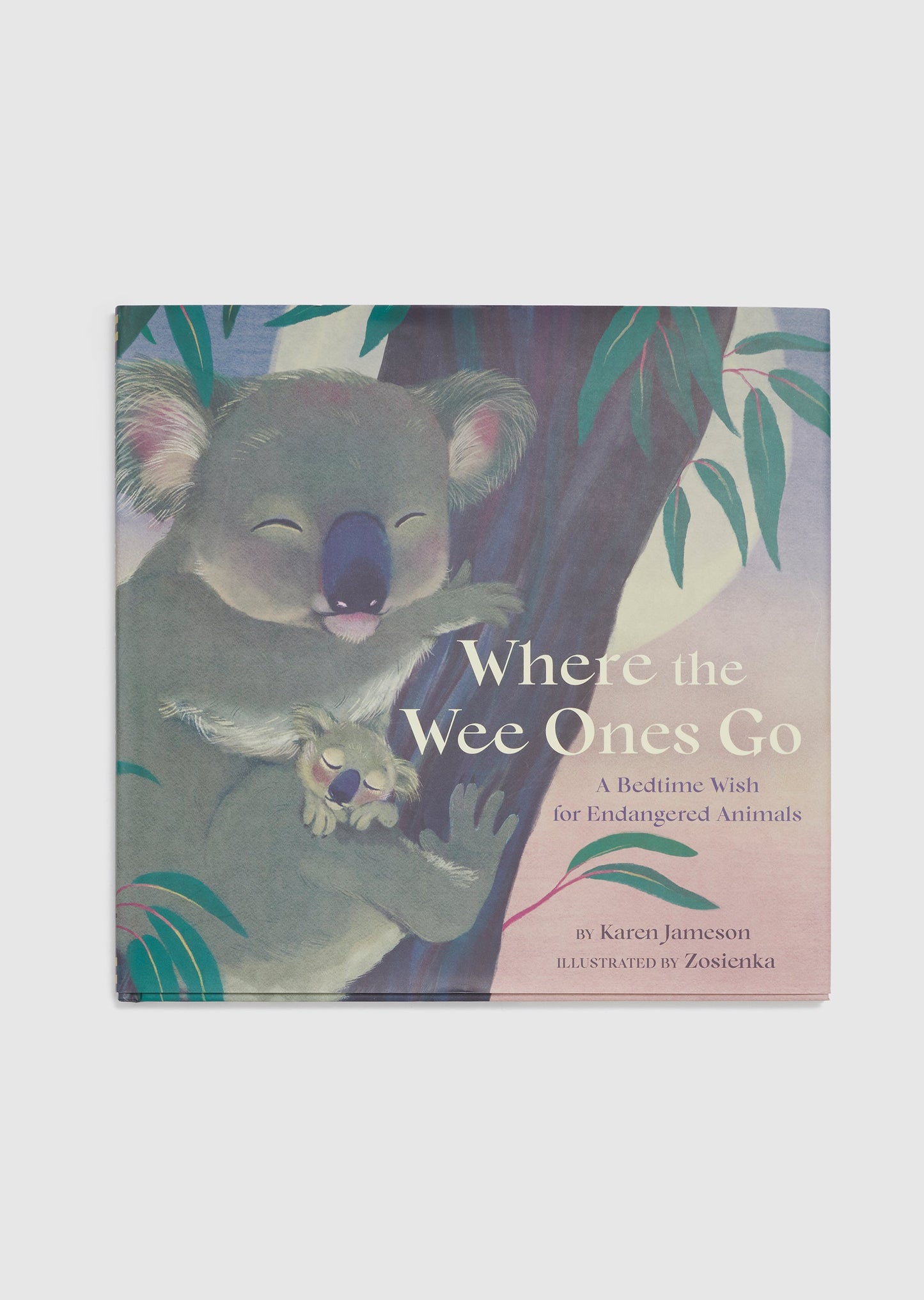 Where The Wee Ones Go