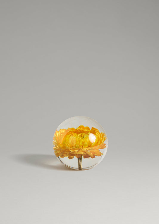 Dream - Paper Daisy Paperweight