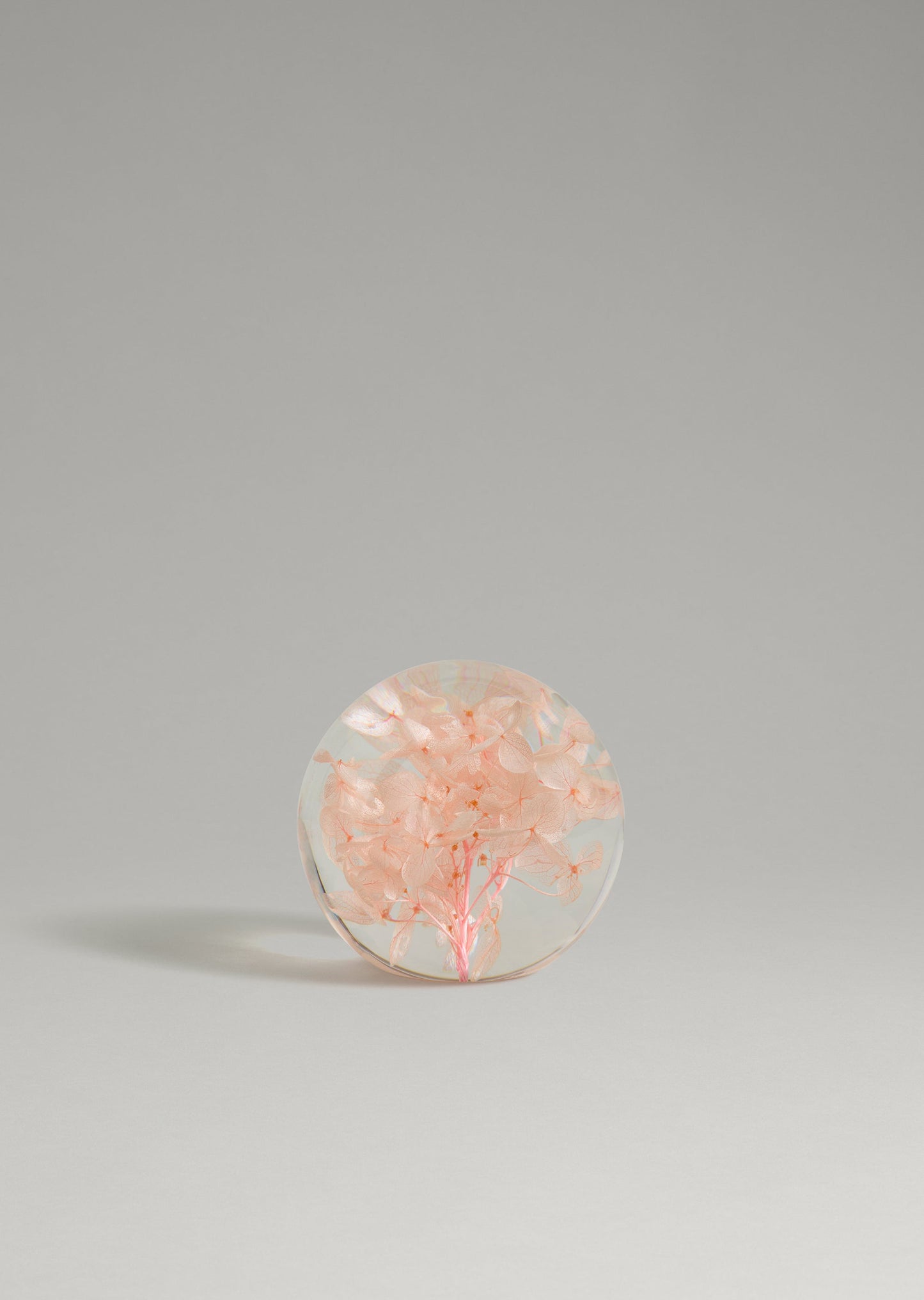 Dream - Hydrangea Paperweight