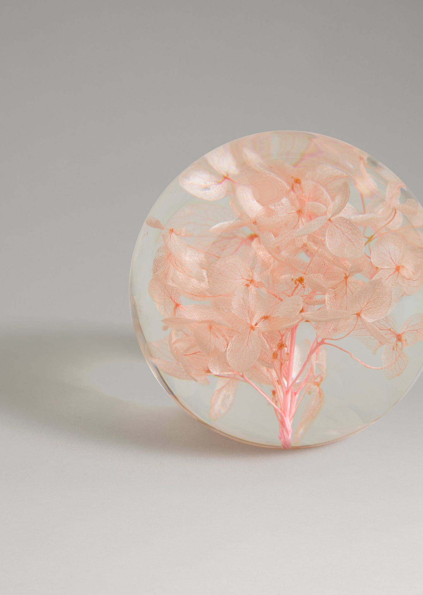 Dream - Hydrangea Paperweight