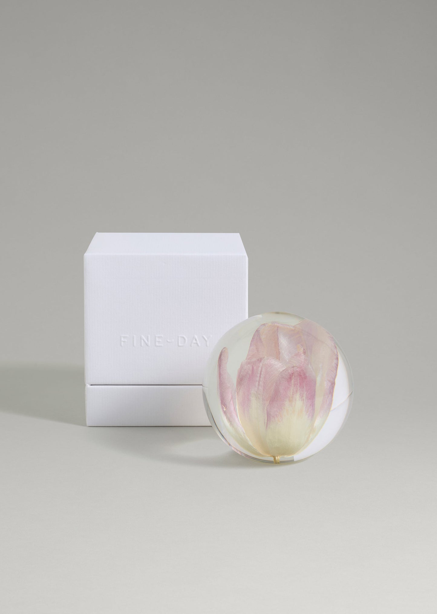 Dream - Tulip Paperweight