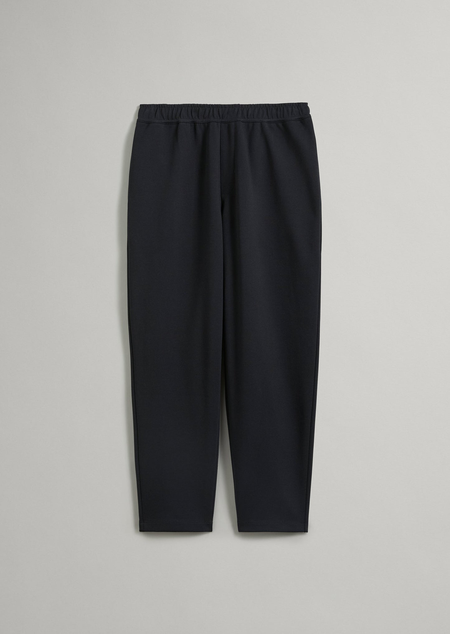 Ponte Pant