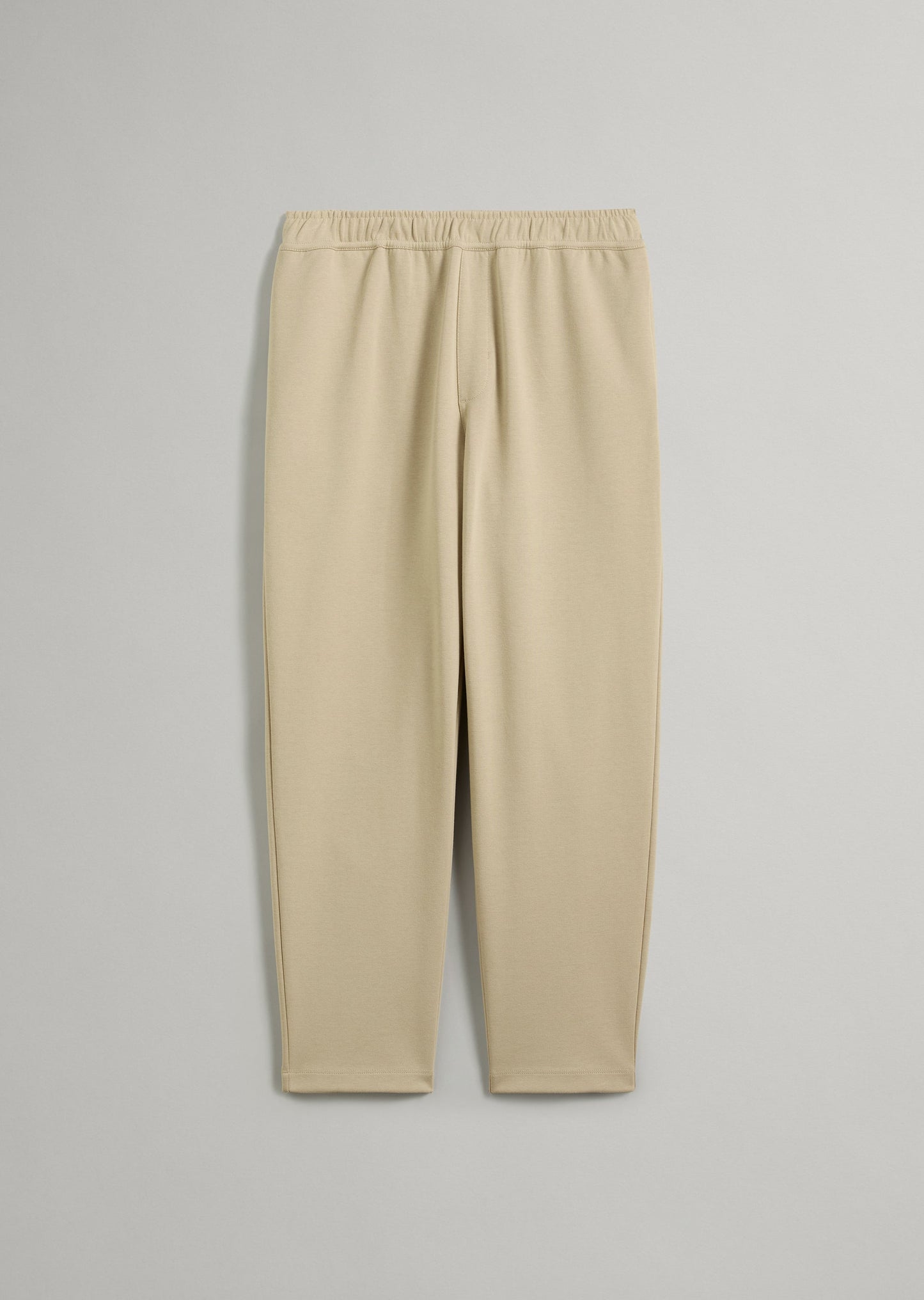 Ponte Pant